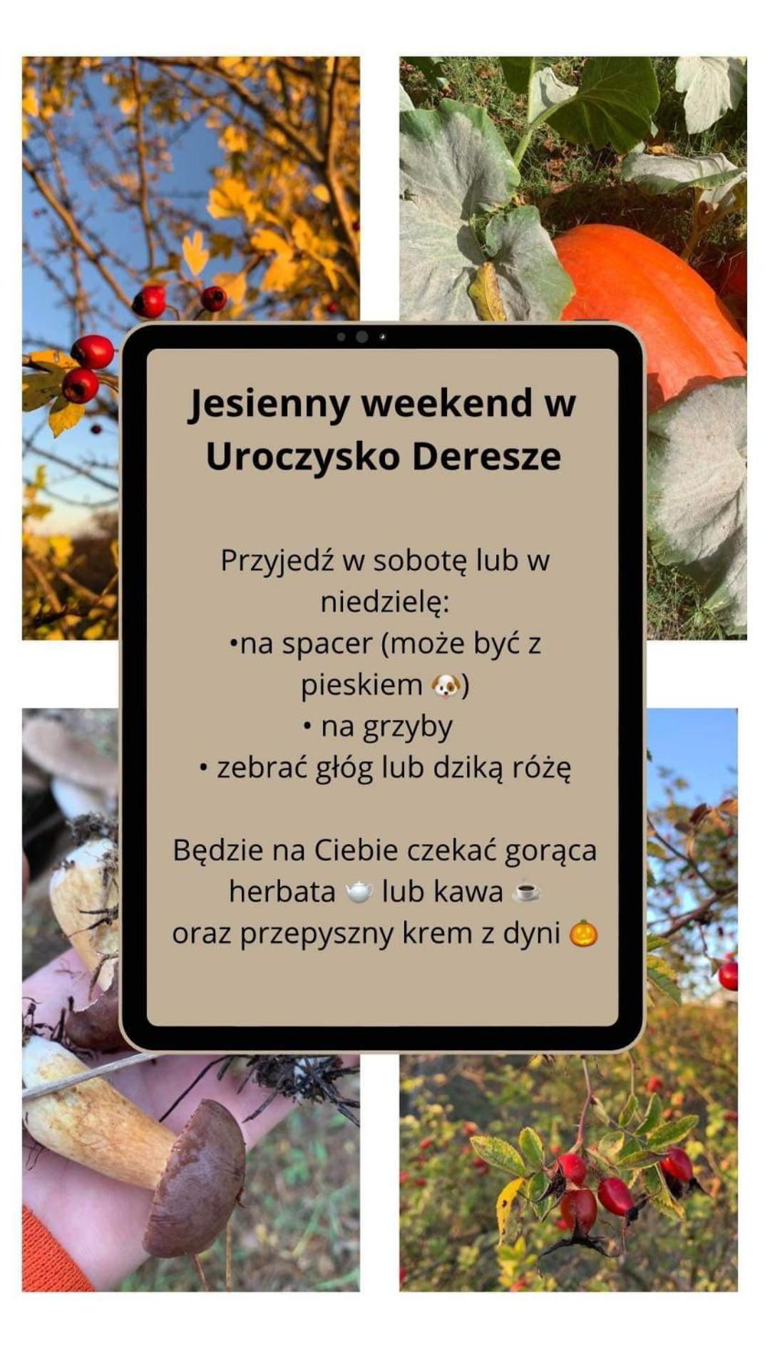 Vila Uroczysko Deresze Gilawy Exteriér fotografie
